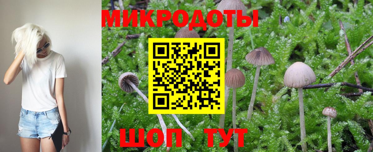 Галлюциногенные грибы MAGIC MUSHROOMS Ликино-Дулёво